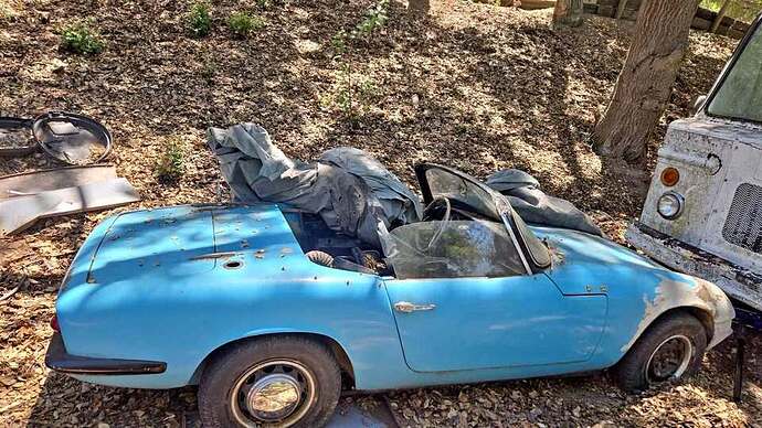 '66 Elan S2 in the woods